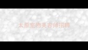 太原宠物美容师招聘