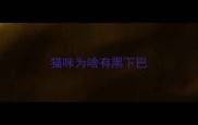 猫咪为啥有黑下巴