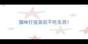 猫咪打疫苗后不吃东西