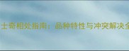 黑背哈士奇相处指南品种特性与冲突解决全攻略