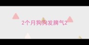 2个月狗狗发脾气
