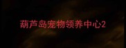 葫芦岛宠物领养中心
