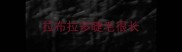 拉布拉多睫毛很长