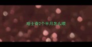 哈士奇2个半月怎么喂