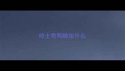 哈士奇狗粮加什么