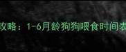 幼犬喂养全攻略1-6月龄狗狗喂食时间表及注意事项
