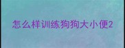 怎么样训练狗狗大小便