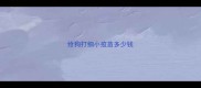 给狗打细小疫苗多少钱