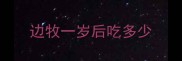 边牧一岁后吃多少