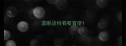 蓝眼边牧有夜盲症