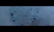 狗多大可以接种狂犬疫苗