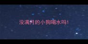 没满月的小狗喝水吗