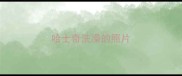 哈士奇洗澡的照片