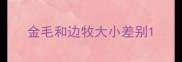金毛和边牧大小差别