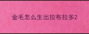 金毛怎么生出拉布拉多