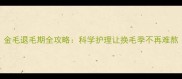 金毛退毛期全攻略科学护理让换毛季不再难熬