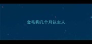金毛狗几个月认主人