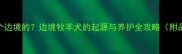 边牧是哪个边境的边境牧羊犬的起源与养护全攻略附品种对比图