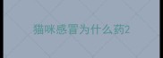 猫咪感冒为什么药