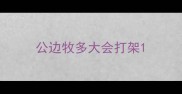 公边牧多大会打架