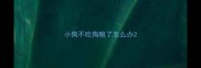 小狗不吃狗粮了怎么办