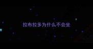拉布拉多为什么不会坐