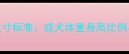 拉布拉多犬尺寸标准成犬体重身高比例与体型特征全