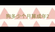 狗多少个月算成年