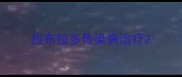 拉布拉多传染病治疗