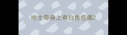 哈士奇身上有白色疙瘩