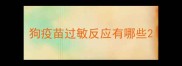 狗疫苗过敏反应有哪些