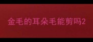 金毛的耳朵毛能剪吗