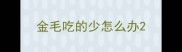 金毛吃的少怎么办