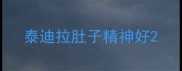 泰迪拉肚子精神好