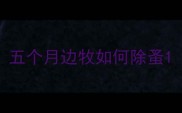五个月边牧如何除蚤