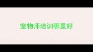 宠物师培训哪里好
