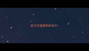 武汉买宠物狗的地方