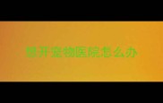 想开宠物医院怎么办