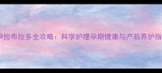 怀孕拉布拉多全攻略科学护理孕期健康与产后养护指南