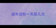 成年边牧一天尿几次