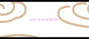 拉布拉多幼犬前腿特征
