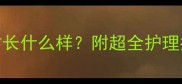 边牧幼犬3个月大时长什么样附超全护理指南附对比图