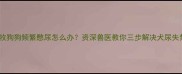 7岁边牧狗狗频繁憋尿怎么办资深兽医教你三步解决犬尿失禁问题
