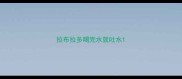 拉布拉多喝完水就吐水