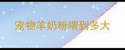 宠物羊奶粉喂到多大