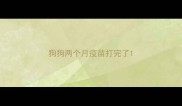 狗狗两个月疫苗打完了