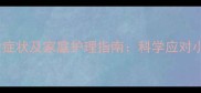 猫咪缺钙的10大症状及家庭护理指南科学应对小猫成长期问题