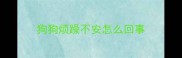 狗狗烦躁不安怎么回事