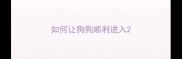 如何让狗狗顺利进入