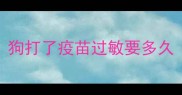 狗打了疫苗过敏要多久